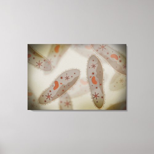 Microscopic View Of Paramecium 1 Canvas Print