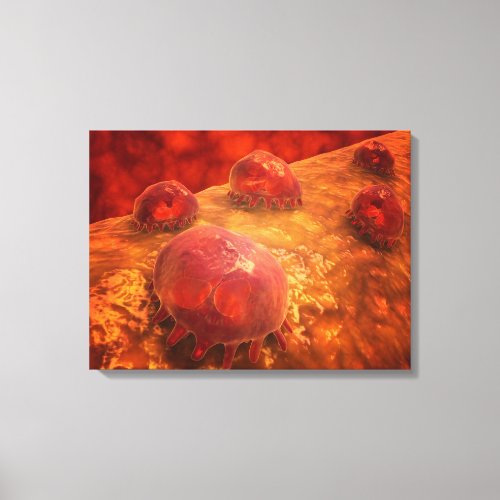 Microscopic View Of Phagocytic Macrophages 1 Canvas Print