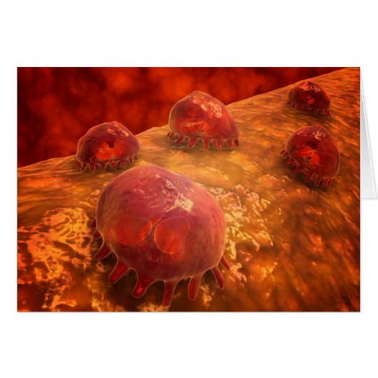 Microscopic View Of Phagocytic Macrophages 1 Cards (Front Horizontal)