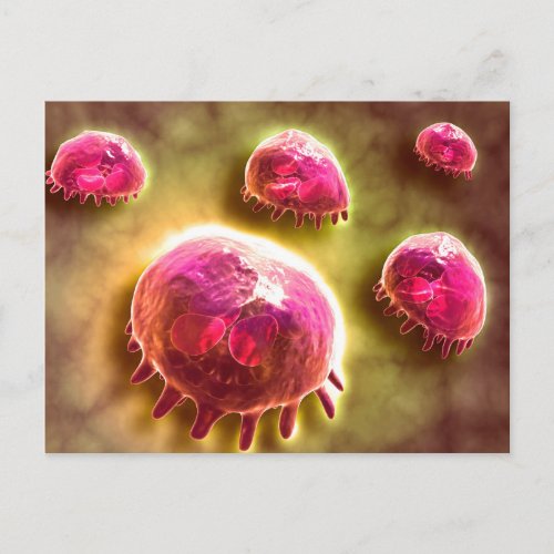 Microscopic View Of Phagocytic Macrophages 2 Postcard