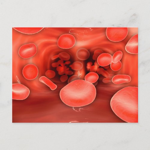 Microscopic View Of Red Blood Cells Flowing Postcard