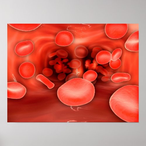 Microscopic View Of Red Blood Cells Flowing Poster