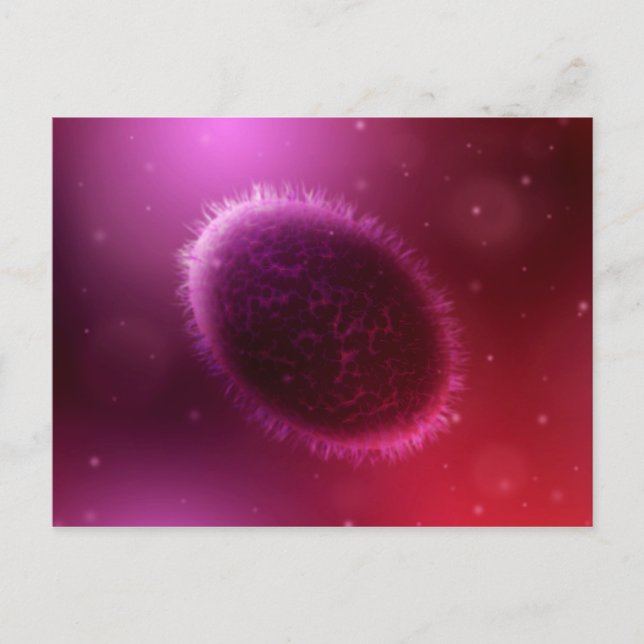 Microscopic View Of Samllpox 1 Postcard (Front)