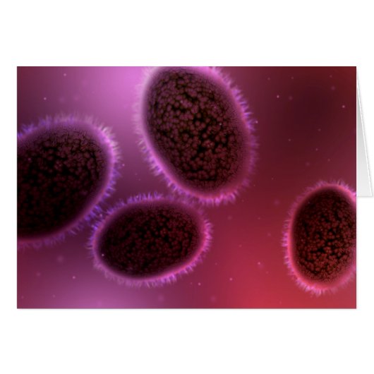 Microscopic View Of Samllpox 2 Cards (Front Horizontal)