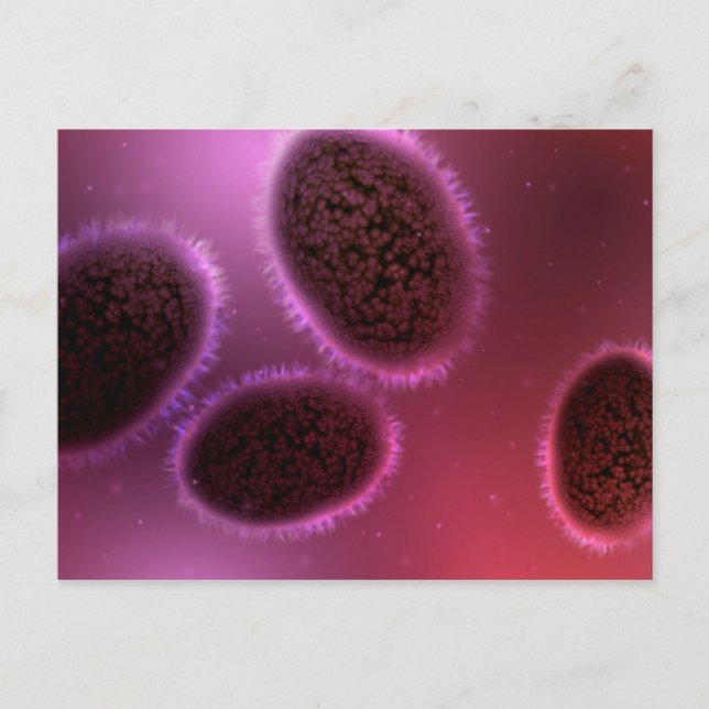 Microscopic View Of Samllpox 2 Postcard (Front)