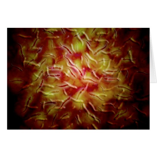 Microscopic View Of Sperm Cards (Front Horizontal)