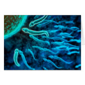 Microscopic View Of Sperm Swimming Towards Egg 1 (Front Horizontal)