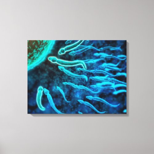 Microscopic View Of Sperm Swimming Towards Egg 1 Canvas Print