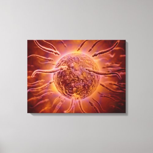 Microscopic View Of Sperm Swimming Towards Egg 2 Canvas Print