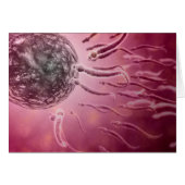 Microscopic View Of Sperm Swimming Towards Egg 4 (Front Horizontal)