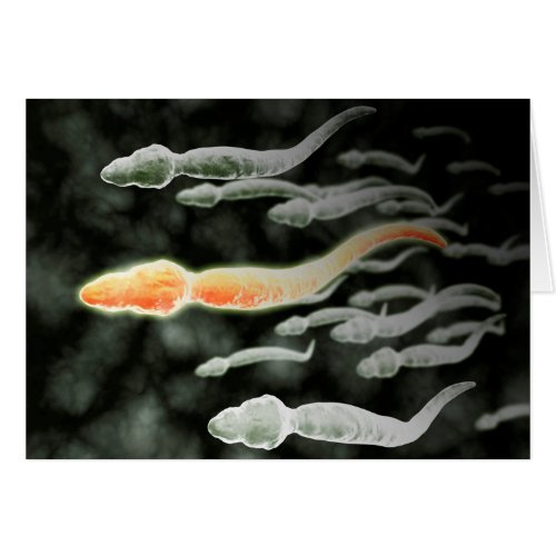 Microscopic View Of Sperm Traveling