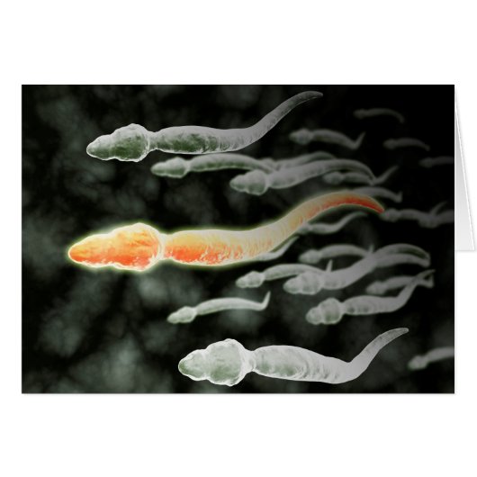 Microscopic View Of Sperm Traveling Cards (Front Horizontal)