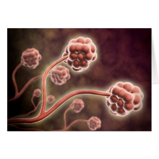 Microscopic View Of Stachybotrys Chartarum Cards (Front Horizontal)