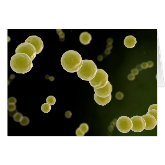 Microscopic View Of Streptococcus 1 Cards (Front Horizontal)