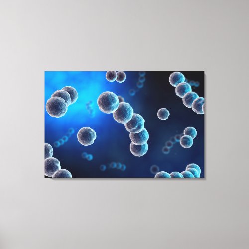 Microscopic View Of Streptococcus 2 Canvas Print