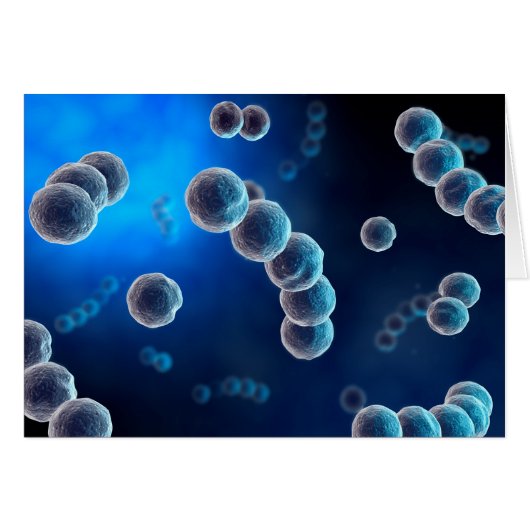 Microscopic View Of Streptococcus 2 Cards (Front Horizontal)