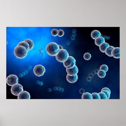 Microscopic View Of Streptococcus 2 Poster