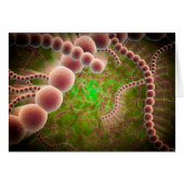 Microscopic View Of Streptococcus Pneumoniae (Front Horizontal)