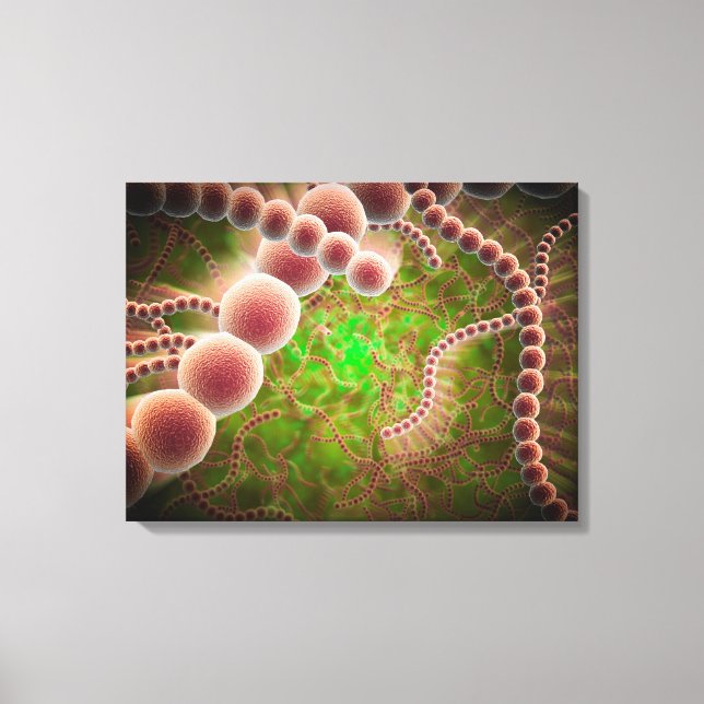 Microscopic View Of Streptococcus Pneumoniae Canvas Print (Front)