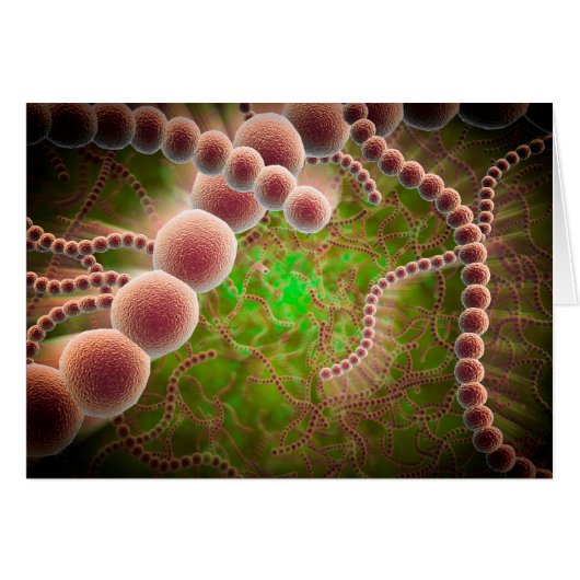 Microscopic View Of Streptococcus Pneumoniae Cards (Front Horizontal)