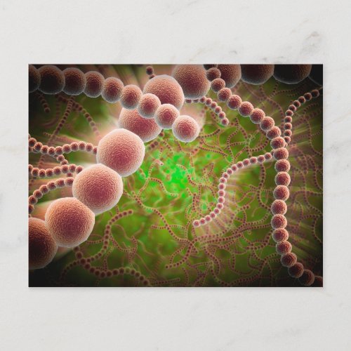 Microscopic View Of Streptococcus Pneumoniae Postcard
