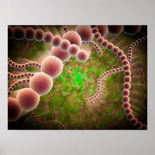 Microscopic View Of Streptococcus Pneumoniae Poster