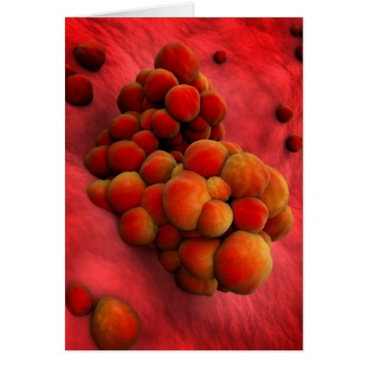 Microscopic View Of Tumor 2 Cards (Front)