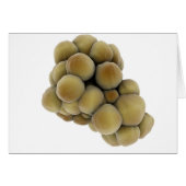 Microscopic View Of Tumor 5 (Front Horizontal)