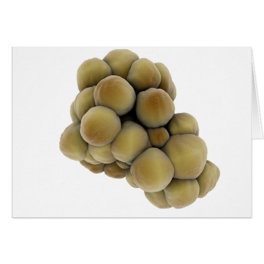 Microscopic View Of Tumor 5 Cards (Front Horizontal)