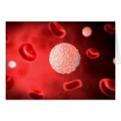 Microscopic View Of White Blood Cells (Front Horizontal)