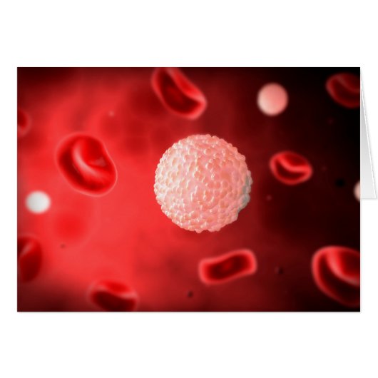 Microscopic View Of White Blood Cells Cards (Front Horizontal)