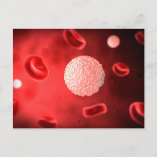 Microscopic View Of White Blood Cells Postcard