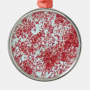 Microscopy of Gram Negative Bacteria Metal Ornament