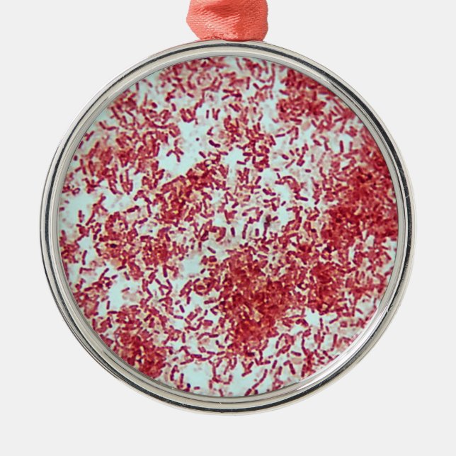 Microscopy of Gram Negative Bacteria Metal Ornament (Front)