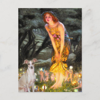 Mid Eve - Italian Greyhound 5 Postcard