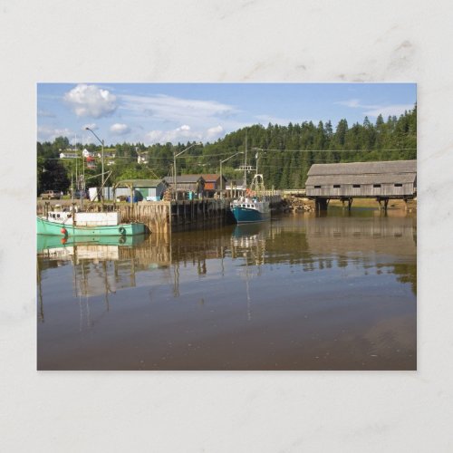 Mid tide at the Bay of Fundy at St Martins New Postcard