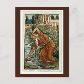 Midas with the Pitcher Postcard