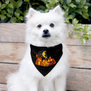 MidCentury Modern Pumpkins Halloween Pet Bandana Collar
