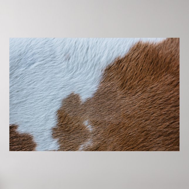 Midcentury Poster (Front)