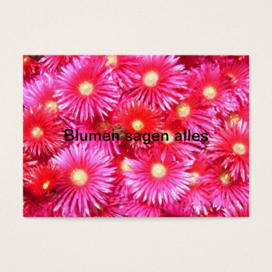 midday flowers (Front)