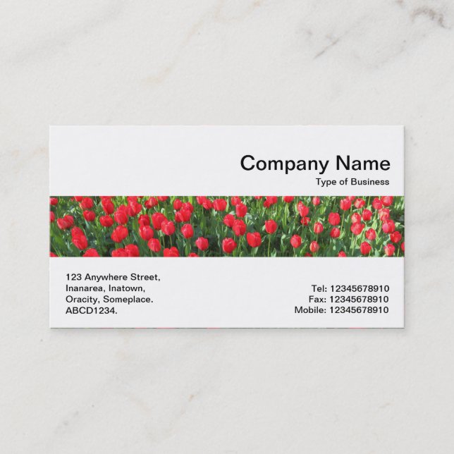 Middle Band - Bed of Red Tulips 01 Business Card (Front)