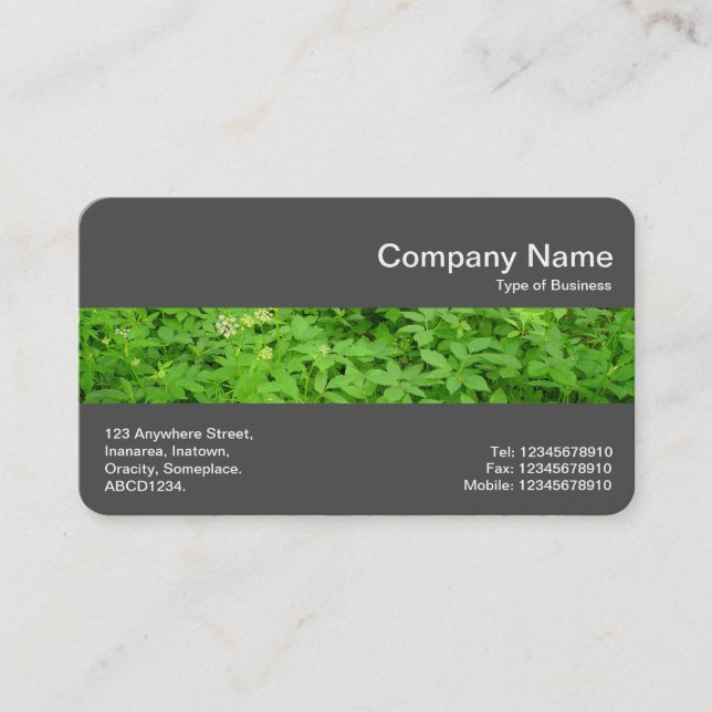 Middle Band (Dk Gray) - Undergrowth Business Card (Front)