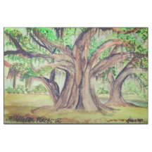 Middleton Place Gallery Wrap