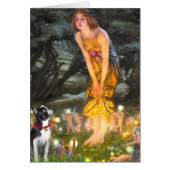 MidEve - Boston Terrier #2 (Front)