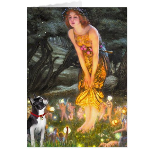 MidEve - Boston Terrier #2 Cards (Front)