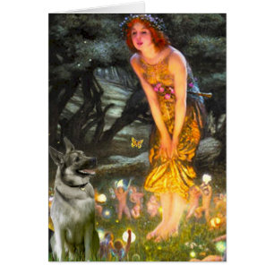 MidEve - Norwegian Elkhound Cards