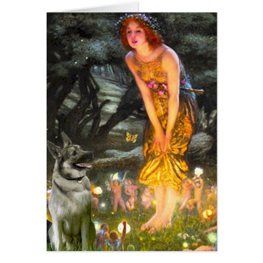 MidEve - Norwegian Elkhound Cards (Front)