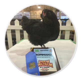 Midnight Ameraucana Champion Chicken knob pull BW