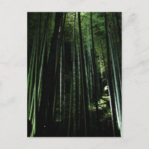 Midnight Bamboo Postcard