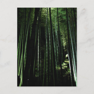 Midnight Bamboo Postcard